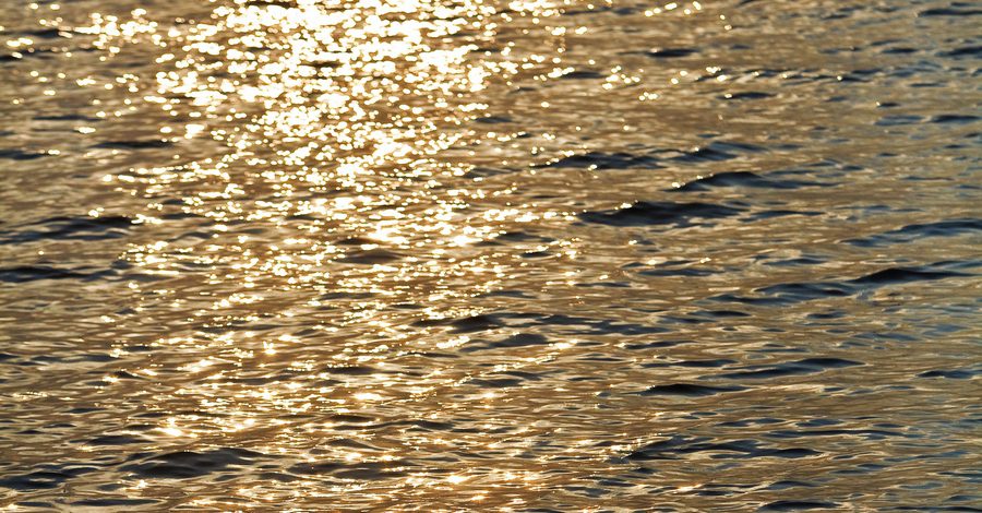 C-Yacht 1130 water 900x470